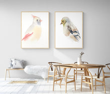 Load image into Gallery viewer, 5” x 7” original watercolor female cardinal and goldfinch painting in an ethereal, expressive, impressionist, minimalist, modern style by contemporary fine artist Elizabeth Becker
