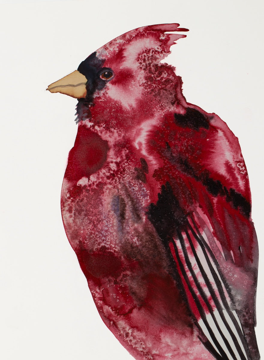 9” x 12” original watercolor and ink wildlife nature painting. Cardinal bird portrait in 
 a loose, expressive, impressionist, minimalist, modern style with salt texture by contemporary fine artist Elizabeth Becker. Dark red, black and white colors.