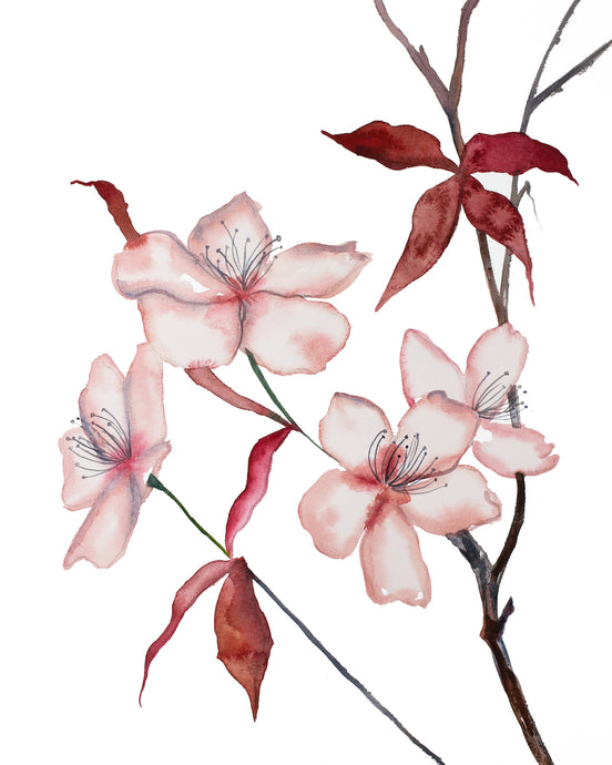 16” x 20” original watercolor botanical cherry blossom floral painting in an expressive, impressionist, minimalist, modern style by contemporary fine artist Elizabeth Becker. Soft monochromatic pink, peach and deep ruby red colors.