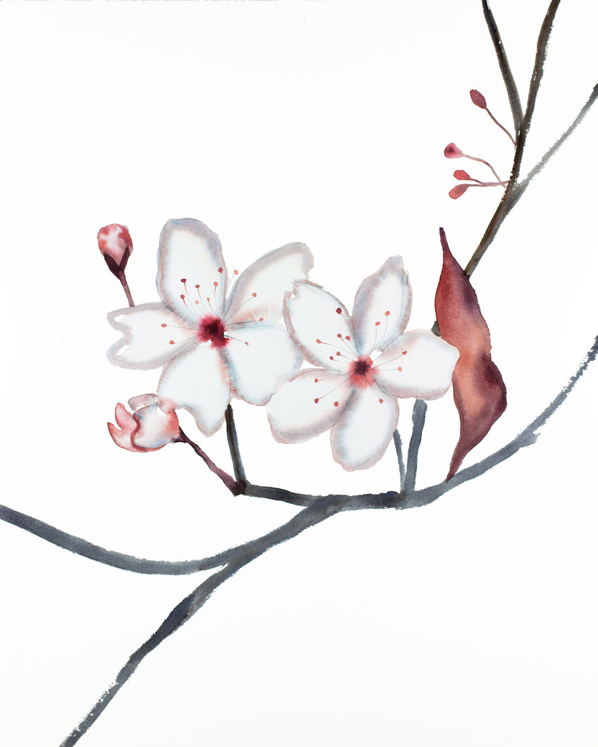 16” x 20” original watercolor botanical cherry blossom floral painting in an expressive, impressionist, minimalist, modern style by contemporary fine artist Elizabeth Becker