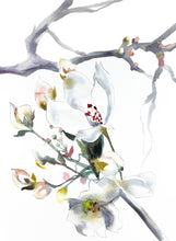 Load image into Gallery viewer, 11&quot; x 15&quot; original watercolor botanical white cherry blossom flower painting in an abstract, expressive, impressionist, minimalist, modern style by contemporary fine artist Elizabeth Becker.
