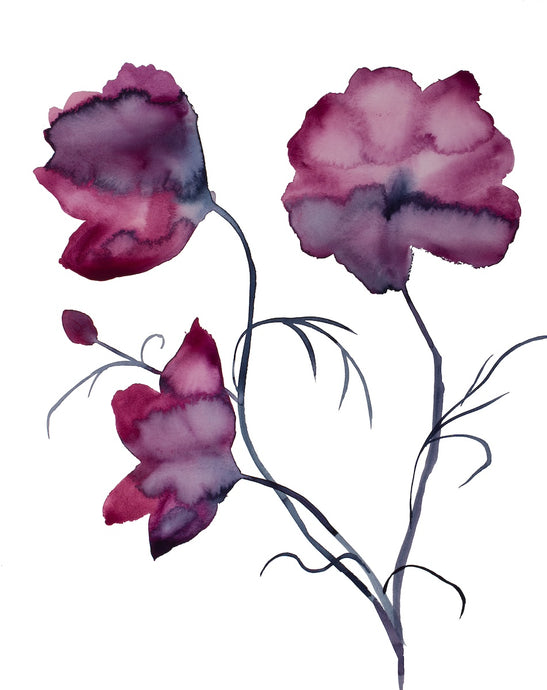 16” x 20” original watercolor botanical cosmo flowers painting in an expressive, loose, watery, minimalist, modern style by contemporary fine artist Elizabeth Becker. Muted monochromatic moody dark magenta purple, burgundy, maroon red and black colors on white background. 