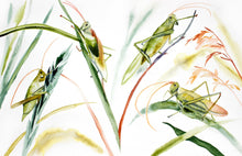 Load image into Gallery viewer, A heartwarming poem and gorgeous watercolor paintings by writer and artist Elizabeth Becker. This “children’s book&quot; for all ages reminds us of our spiritual connection to the natural world around us– with all the magic, wonder and comfort it has to offer. Sheltering Trees is a mindful journey into the forest and into the heart.
