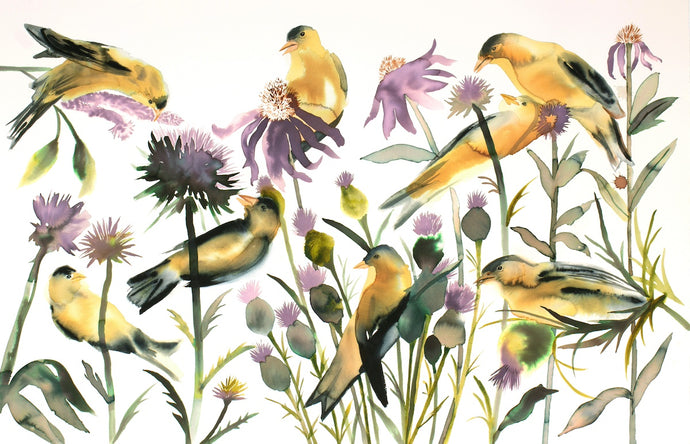 26” x 40” original watercolor ink painting of goldfinches. Birds, cone flowers and purple thisle. Large-scale wildlife illustration in an expressive modern style by contemporary fine artist Elizabeth Becker. Bright yellow, olive green, purple and white colors.