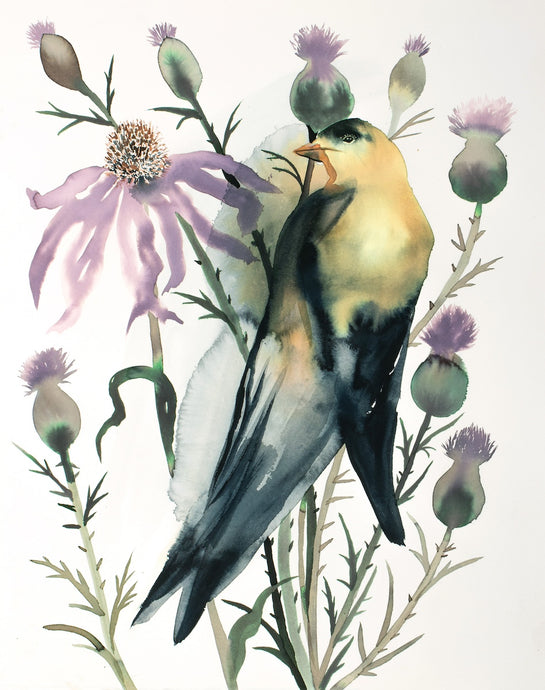 16” x 20” original watercolor ink bird painting in an expressive, impressionist, minimalist, modern style by contemporary fine artist Elizabeth Becker. Goldfinch, purple thistle and cone flowers. Yellow, black, purple, olive green and white colors.