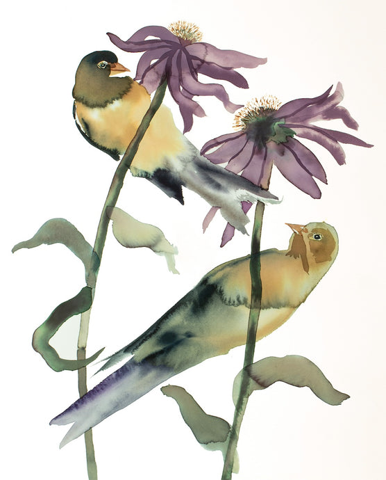 16” x 20” original watercolor ink bird painting in an expressive, impressionist, minimalist, modern style by contemporary fine artist Elizabeth Becker. Pair of two goldfinches on cone flowers. Yellow, gold, black, purple, olive green and white colors.