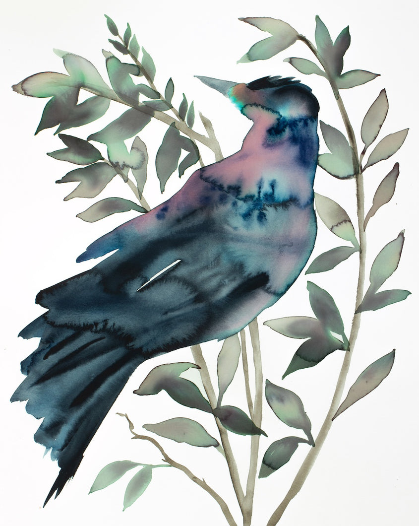 16” x 20” original watercolor ink bird painting in an expressive, impressionist, minimalist, modern style by contemporary fine artist Elizabeth Becker. Grackle, black bird, crow or raven on botanical tree branches with leaves. Monochromatic, moody dark blue, black, purple, green and white colors.