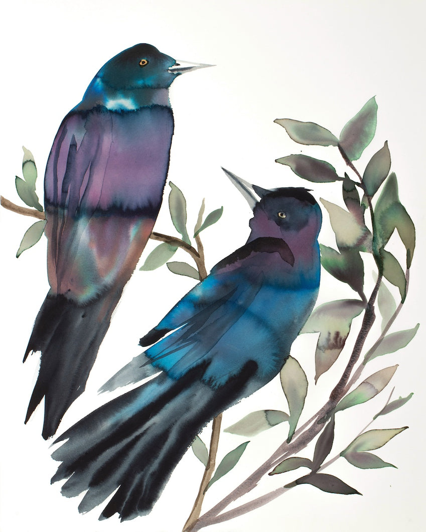 16” x 20” original watercolor ink bird painting in an expressive, impressionist, minimalist, modern style by contemporary fine artist Elizabeth Becker. Pair of two grackles on tree branches with leaves. Monochromatic, moody dark blue, black, purple, green and white colors.