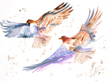 Load image into Gallery viewer, 30” x 40&quot; original watercolor painting on canvas in 32&quot; x 42&quot; natural maple solid wood floater frame. Large-scale expressive pair of two flying red-tailed hawk birds. Expressive, impressionist, loose, watery, flowing, ethereal, minimalist, modern style with painterly drips and splatters by contemporary fine artist Elizabeth Becker. Dark blue, burnt sienna, lavender purple, gray and white colors.
