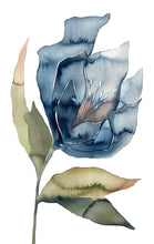 Load image into Gallery viewer, Commission custom hellebore flower watercolor paintings by contemporary artist Elizabeth Becker in an expressive, impressionist, minimalist, modern style. Monochromatic soft blue and green colors.
