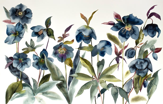 26” x 40” original watercolor painting of botanical hellebore flowers. Large-scale floral garden study in an expressive, minimalist, modern style by contemporary fine artist Elizabeth Becker. Monochromatic dark blue, olive green and white colors.