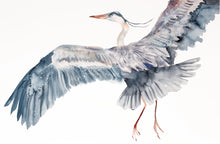 Load image into Gallery viewer, 26” x 40” original watercolor painting of great blue heron / crane / egret. Large-scale wildlife nature animal illustration in an expressive, minimalist, modern style by contemporary fine artist Elizabeth Becker. Monochromatic neutral blue, black, gray and white.
