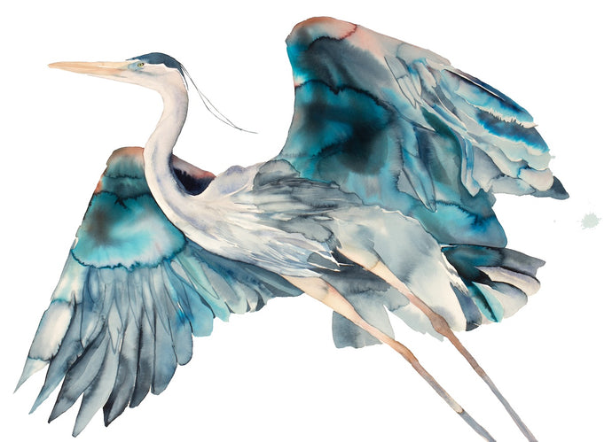 26” x 36” original large-scale watercolor wildlife great blue heron, egret or crane painting. Flying bird in an expressive, impressionist, minimalist, modern, asian style by contemporary fine artist Elizabeth Becker. Soothing, serene, peaceful, calming wildlife painting. Teal blue, turquoise, gray, peach and white colors. Prints available. 