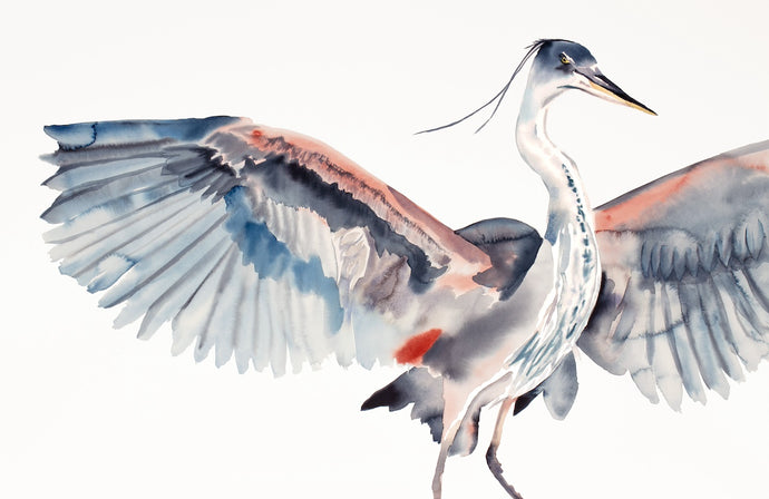 26” x 40” original watercolor painting of great blue heron / crane / egret with open wings. Large-scale wildlife nature animal illustration in an expressive, minimalist, modern style by contemporary fine artist Elizabeth Becker. Dark blue, black, rust, gray and white.