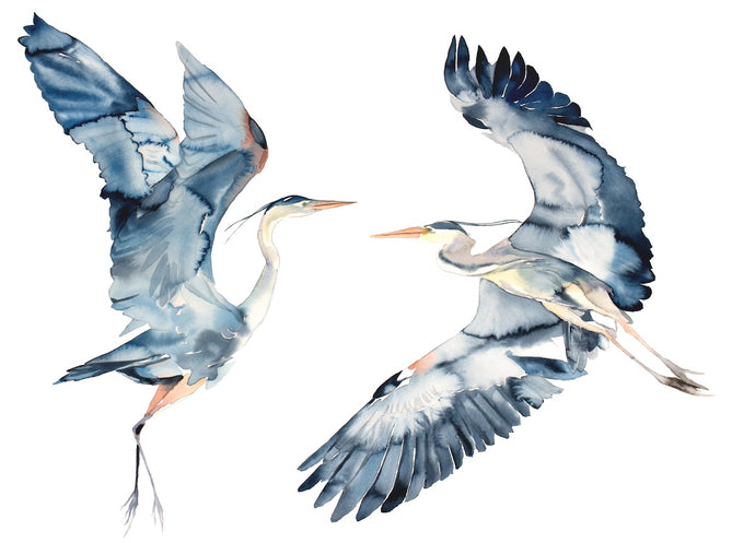 26” x 36” original large-scale watercolor wildlife great blue herons, egrets or cranes painting. Flying birds in an expressive, impressionist, minimalist, modern, asian style by contemporary fine artist Elizabeth Becker. Soothing, serene, peaceful, calming wildlife painting. Monochromatic dark blue, black, peach and white colors. Prints available. 
