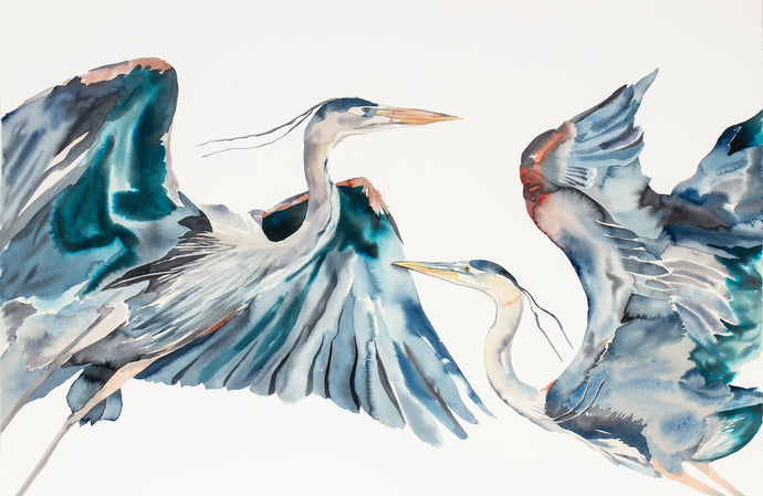 26” x 40” original watercolor painting of great blue herons / cranes / egrets. Pair of two flying birds. Large-scale wildlife nature animal illustration in an expressive, minimalist, modern style by contemporary fine artist Elizabeth Becker. Teal, turquoise, blue, red, orange and white colors.