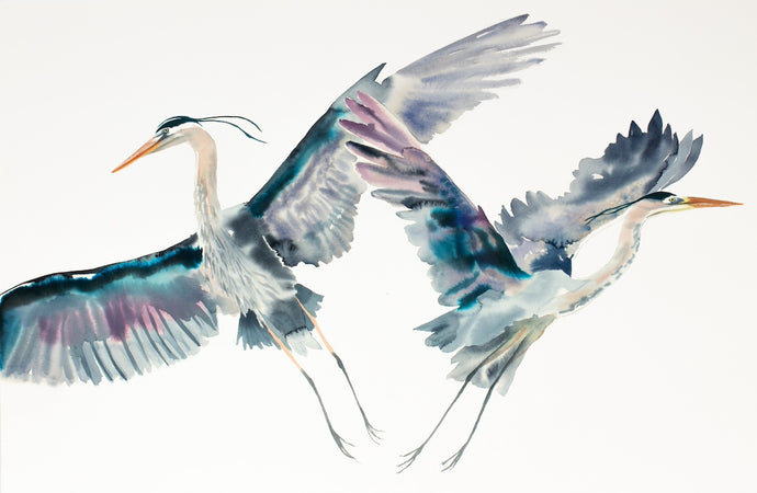 26” x 40” original watercolor painting of great blue herons / cranes / egrets. Pair of two flying birds. Large-scale wildlife nature animal illustration in an expressive, minimalist, modern style by contemporary fine artist Elizabeth Becker. Monochromatic neutral dark blue, black, gray and white.