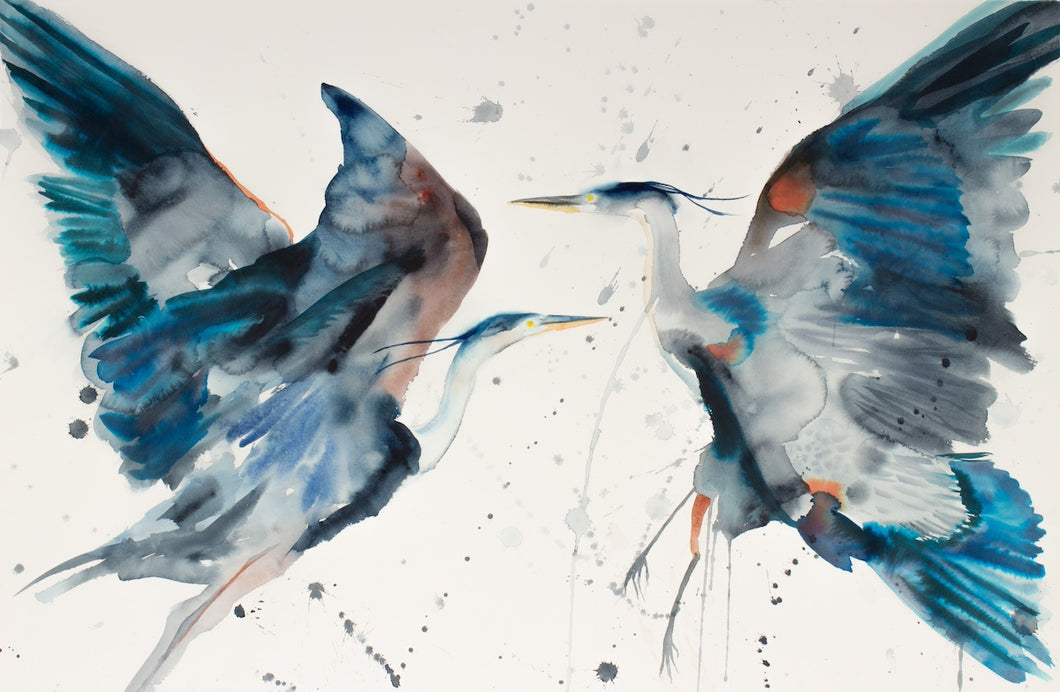 26” x 40” original watercolor painting of great blue herons / cranes / egrets. Pair of two abstract flying birds with drips and splatters. Large-scale wildlife nature animal illustration in a loose, expressive, minimalist, modern style by contemporary fine artist Elizabeth Becker. Monochromatic dark blue, black, gray and white colors.