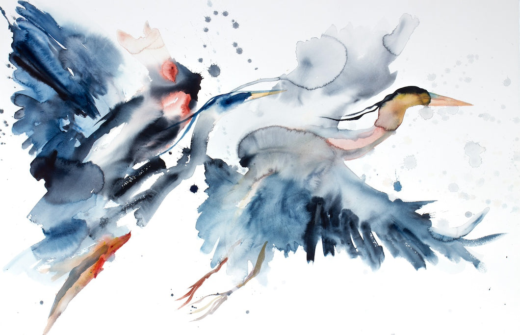 26” x 40” original watercolor painting of great blue herons / cranes / egrets. Pair of two flying birds with splatters. Large-scale abstract wildlife nature animal illustration in a loose, expressive, minimalist, modern style by contemporary fine artist Elizabeth Becker. 