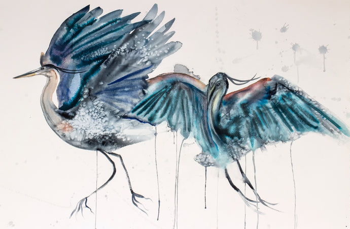 26” x 40” original watercolor painting of great blue herons / cranes / egrets. Pair of two flying birds with drips and splatters. Large-scale abstract wildlife nature animal illustration in a loose, expressive, minimalist, modern style by contemporary fine artist Elizabeth Becker. Monochromatic turquoise, teal, dark blue, gray, black and white colors.