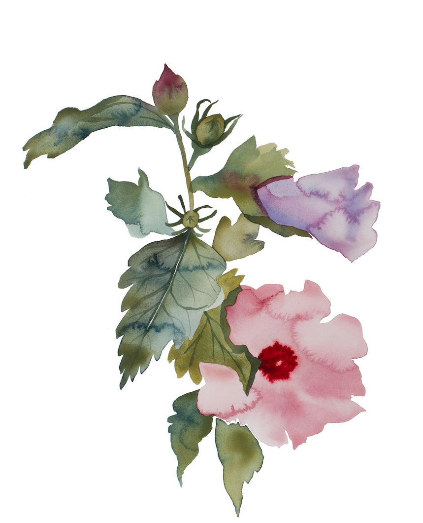 16” x 20” original watercolor botanical hibiscus floral painting in an expressive, impressionist, minimalist, modern style by contemporary fine artist Elizabeth Becker. Soft muted pink, purple, dark green and white colors.