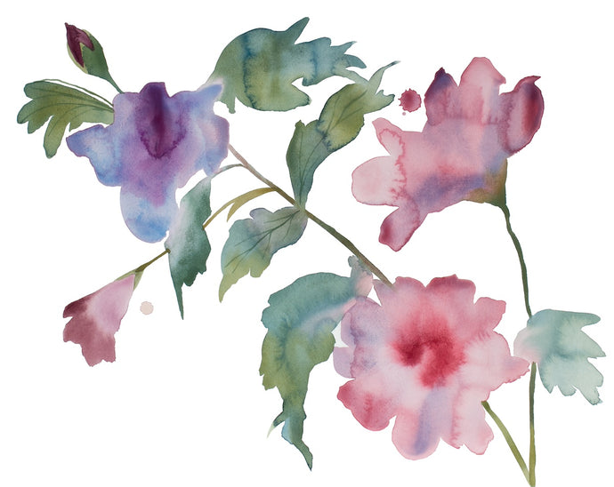 16” x 20” original watercolor botanical hibiscus floral painting in an expressive, impressionist, minimalist, modern style by contemporary fine artist Elizabeth Becker. Soft muted pink, purple, dark green and white colors.