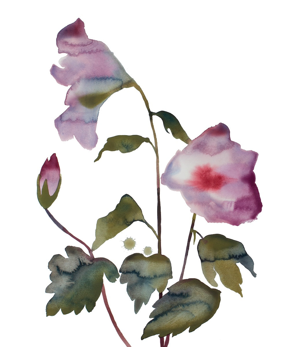 16” x 20” original watercolor botanical hibiscus floral painting in an expressive, loose, watery, minimalist, modern style by contemporary fine artist Elizabeth Becker. Soft muted mauve purple, red and dark green colors on white background.