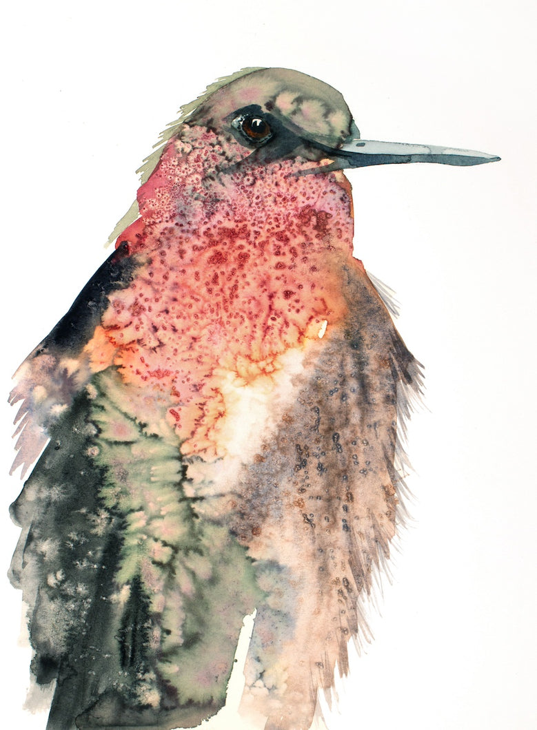 9” x 12” original watercolor wildlife nature hummingbird / bird portrait in an expressive, impressionist, minimalist, modern style with texture by contemporary fine artist Elizabeth Becker. Olive green, red, pink, orange, peach, gray, black, white colors.