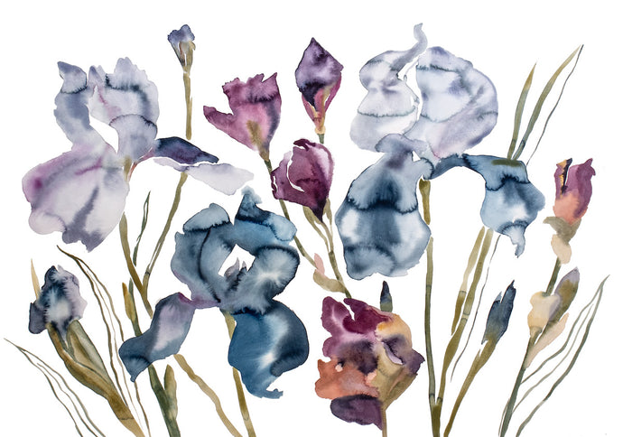 26” x 37” original watercolor botanical purple irises garden floral painting in an expressive, impressionist, watery, minimalist, modern style by contemporary fine artist Elizabeth Becker. Giclée prints available. Monochromatic soft muted lavender purple, gray, ink blue, burgundy, maroon, olive green and white colors. 