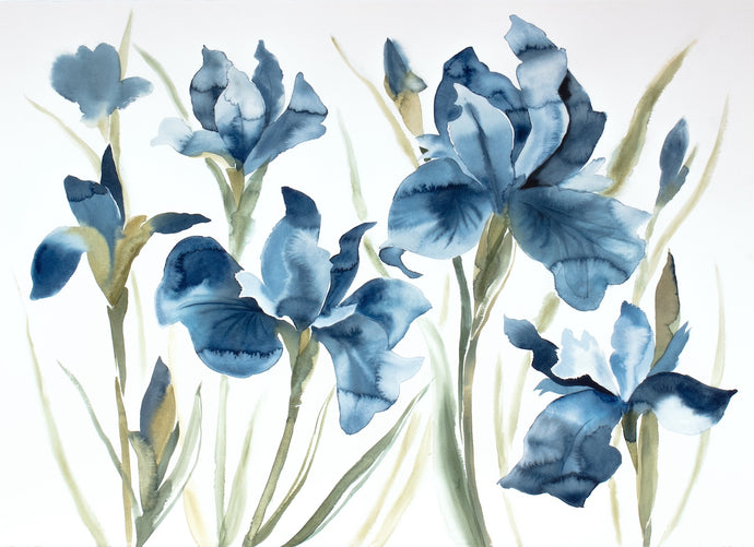 26” x 36” original watercolor botanical blue irises garden floral painting in an expressive, impressionist, minimalist, modern style by contemporary fine artist Elizabeth Becker. Giclée prints available.