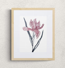Load image into Gallery viewer, 9&quot; x 12&quot; original watercolor botanical iris flower painting in an expressive, loose, watery, minimalist, modern style by contemporary fine artist Elizabeth Becker. Prints available. Soft muted mauve pink and black colors with white background. Framed.

