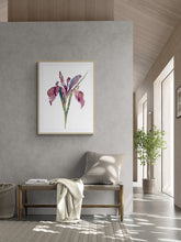 Load image into Gallery viewer, 22.5&quot; x 30&quot; original watercolor botanical iris flower painting in an expressive, loose, watery, minimalist, modern style by contemporary fine artist Elizabeth Becker. Prints available. Colorful mauve purple, ink blue and olive green colors with white background. Framed.
