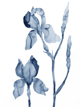 Load image into Gallery viewer, A collection of Poems and Watercolor Paintings by Artist Elizabeth Becker
