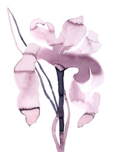 Load image into Gallery viewer, 9&quot; x 12&quot; original ink botanical iris flower painting in an expressive, loose, watery, minimalist, modern style by contemporary fine artist Elizabeth Becker. Prints available. Soft muted monochromatic mauve purple, black and white colors.
