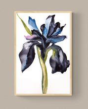 Load image into Gallery viewer, 24" x 36" original watercolor botanical iris flower painting on canvas. Varnished and ready-to-hang. Expressive, impressionist, loose, watery, moody, minimalist, modern style by contemporary fine artist Elizabeth Becker. Prints available. Monochromatic dark blue, purple, black, olive green and white colors.
