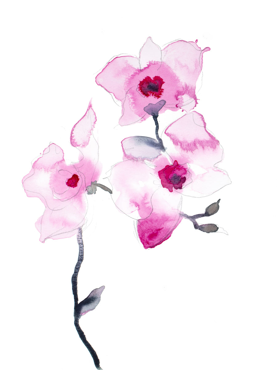9” x 12” original watercolor ink botanical floral orchid painting in an expressive, impressionist, watery, minimalist, modern style by contemporary fine artist Elizabeth Becker. Monochromatic pink, black and white colors. Prints available.