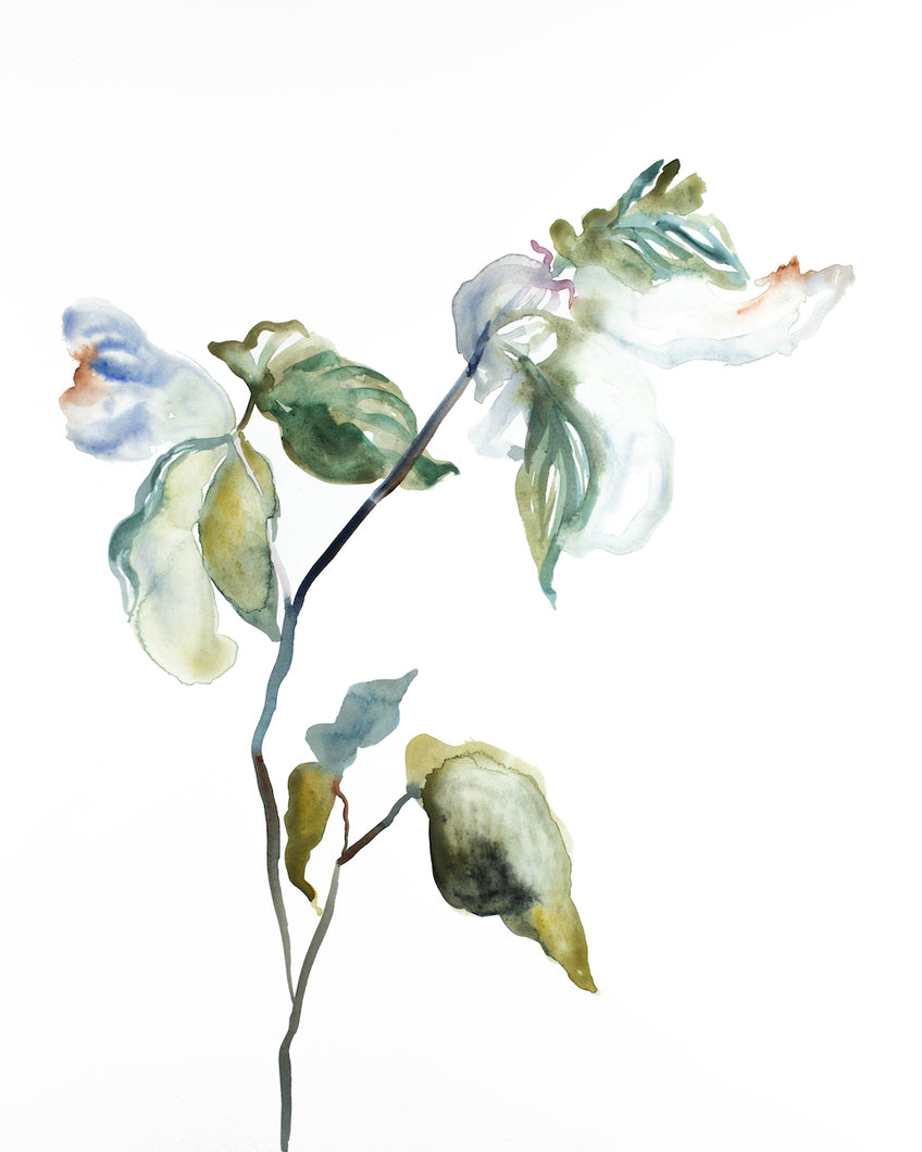 16” x 20” original watercolor botanical nature plant painting of leaves and branches in an expressive, impressionist, minimalist, modern style by contemporary fine artist Elizabeth Becker