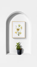 Load image into Gallery viewer, 11&quot; x 15&quot; original watercolor botanical floral poppies painting in an expressive, loose, watery, minimalist, modern style by contemporary fine artist Elizabeth Becker. Prints available. Soft yellow, ochre, olive green and white colors. Framed.
