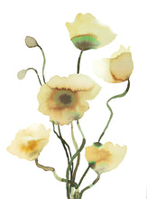 Load image into Gallery viewer, 11&quot; x 15&quot; original watercolor botanical floral poppies painting in an expressive, loose, watery, minimalist, modern style by contemporary fine artist Elizabeth Becker. Prints available. Soft yellow, ochre, olive green and white colors.
