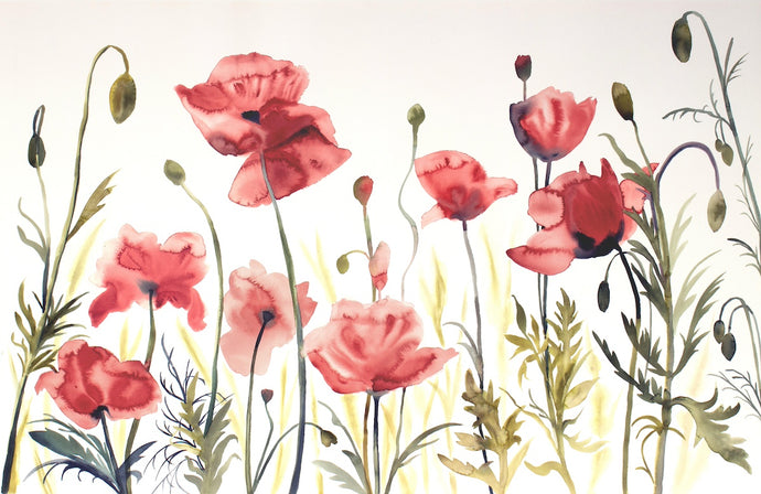 26” x 40” original watercolor painting of botanical poppy wildflowers. Large-scale floral garden field of poppies study in a loose, gestural, abstract, expressive, impressionist, minimalist, modern style by contemporary fine artist Elizabeth Becker. Rust red, burnt orange, olive green and white colors.