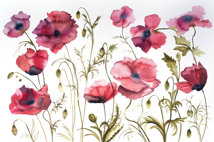 26” x 40” original watercolor painting of botanical poppy flowers. Large-scale floral garden field of poppies. Meadow wildflowers in a gestural, loose, abstract, expressive, impressionist, minimalist, modern style by contemporary fine artist Elizabeth Becker. Ruby red, raspberry red, olive green and white colors.