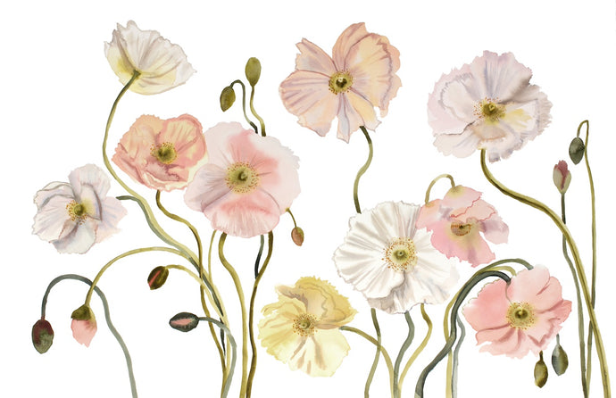 26” x 40” original watercolor painting of botanical poppy flowers. Large-scale floral poppies in an expressive, impressionist, minimalist, modern style by contemporary fine artist Elizabeth Becker. Soft pastel colors. Light pink, peach, pale yellow, olive green and white colors. 