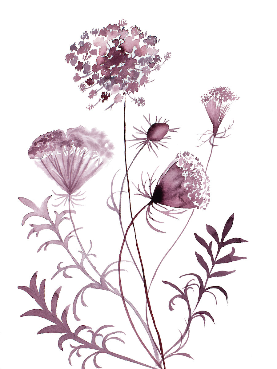 12” x 16” original watercolor botanical queen anne's lace wildflower painting in an ethereal, expressive, impressionist, minimalist, modern style by contemporary fine artist Elizabeth Becker. Deep maroon, burgundy and white colors. 