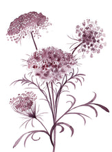 Load image into Gallery viewer, 12” x 16” original watercolor botanical queen anne&#39;s lace wildflower painting in an ethereal, expressive, impressionist, minimalist, modern style by contemporary fine artist Elizabeth Becker. Deep maroon, burgundy and white colors. 
