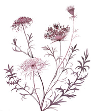 Load image into Gallery viewer, 16” x 20” original watercolor queen anne&#39;s lace botanical wildflower painting in an expressive, impressionist, minimalist, modern style by contemporary fine artist Elizabeth Becker. Burgundy, maroon, muted deep purple colors with white background.
