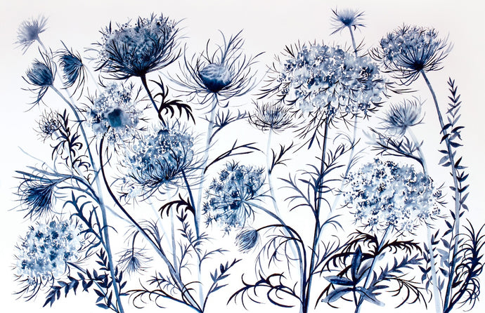 26” x 40” original watercolor painting of botanical queen anne's lace wildflowers. Large-scale floral meadow garden study in an expressive, impressionist, maximalist, modern style by contemporary fine artist Elizabeth Becker. Monochromatic dark blue and white colors.