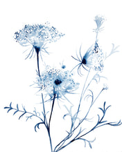 Load image into Gallery viewer, A collection of Poems and Watercolor Paintings by Artist Elizabeth Becker

