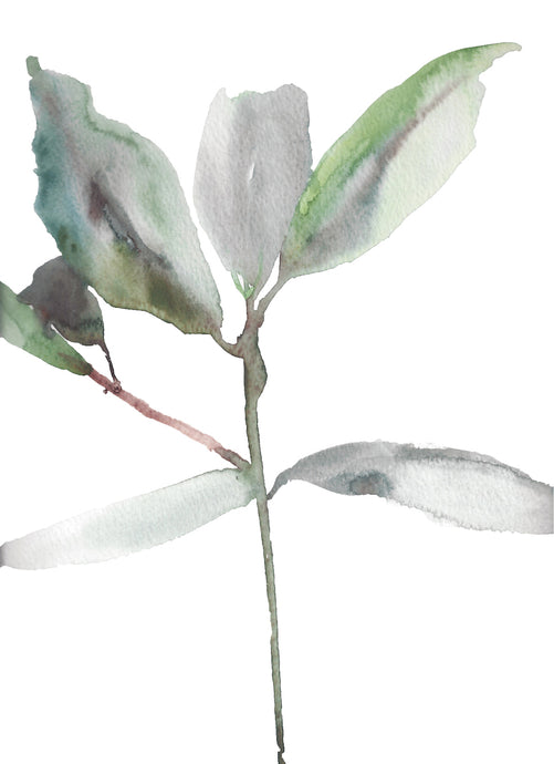 9” x 12” original watercolor botanical nature plant leaves painting in an expressive, impressionist, minimalist, modern style by contemporary fine artist Elizabeth Becker. Prints available. 