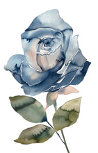 Load image into Gallery viewer, Commission custom rose flower watercolor paintings by contemporary artist Elizabeth Becker in an expressive, impressionist, minimalist, modern style. Monochromatic soft blue and green colors.
