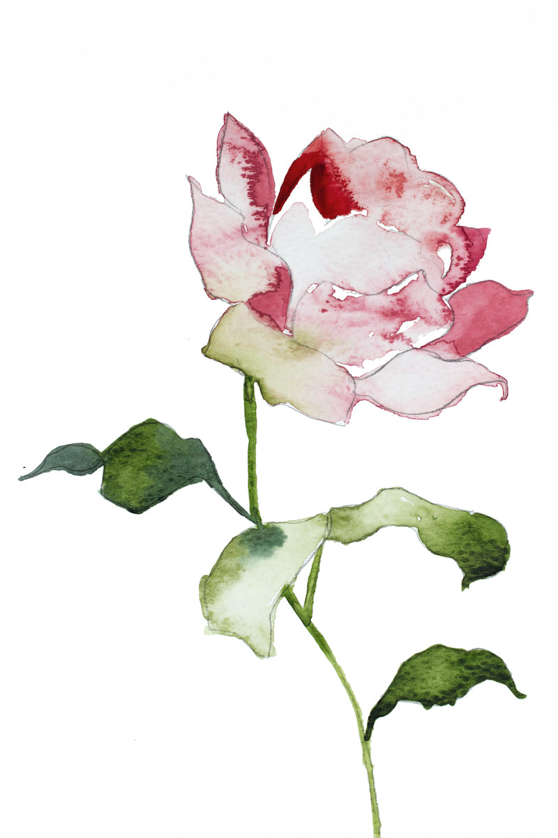 6” x 9” original watercolor botanical floral rose painting in an ethereal, expressive, impressionist, minimalist, modern style by contemporary fine artist Elizabeth Becker.